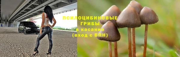 шишки Пролетарск