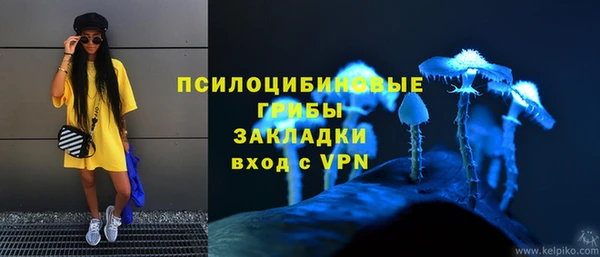 таблы Протвино