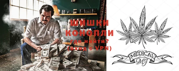 шишки Пролетарск