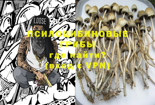 шишки Пролетарск