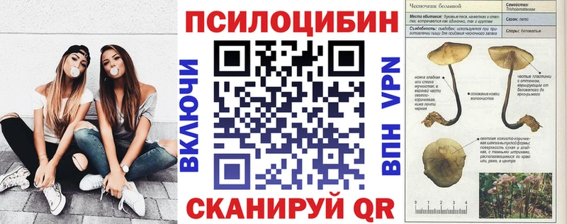 купить сайты Агрыз Галлюциногенные грибы MAGIC MUSHROOMS